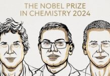 Google’da çalışan; yapay zeka uzmanı bilim insanlarına Nobel Kimya Ödülü.