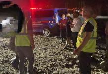 Hatay’da 11 köpek katledildi!