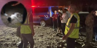 Hatay’da 11 köpek katledildi!