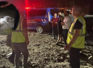 Hatay’da 11 köpek katledildi!