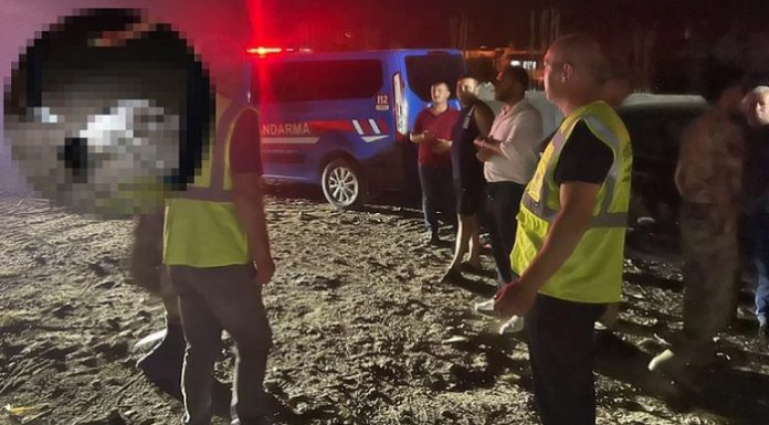 Hatay’da 11 köpek katledildi!