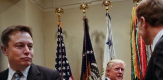 ABD: Elon Musk hükümette bakan oluyor!