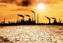 BM uzmanları uyardı: “İklim değişikliği konferansları (COP) işe yaramıyor”