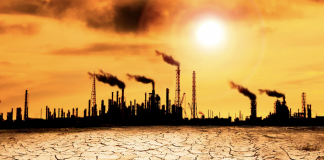 BM uzmanları uyardı: “İklim değişikliği konferansları (COP) işe yaramıyor”