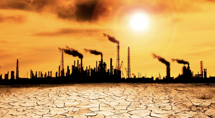 BM uzmanları uyardı: “İklim değişikliği konferansları (COP) işe yaramıyor”