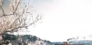 Muallâ Mezhepoğlu’nun “Anılarımızdaki Bebek” fotoğraf Sergisi İstanbul Küçükbebek’te yarın açılıyor.