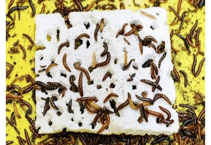 Screenshot_20241116_195051