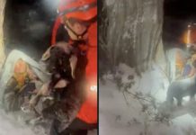 Karda kaybolmuşlardı. Yaşlı çift kuzuları ve tavuklarına sarılmış halde bulundu!