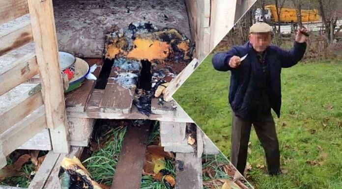 Sokak köpeklerinin kulübelerini ateşe verdi. Tepki gösterene bıçak çekip, tehdit etti!