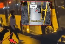 Sosyal medyanın gündemi bu köpek. Sırada Bekledi, İETT otobüsüne binip Kadıköy’den Beykoz’a gitti!