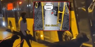 Sosyal medyanın gündemi bu köpek. Sırada Bekledi, İETT otobüsüne binip Kadıköy’den Beykoz’a gitti!