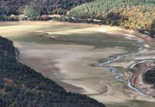 Son 15 yılın en düşük seviyesi. İstanbul barajlarında alarm!