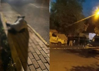 Şiddet her yerde, her yaşta. Çocuklar silahla çatıştı; 17 yaşındaki çocuk, 14 yaşındaki çocuğu öldürdü!