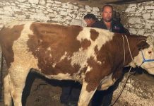 Manisa’dan kaçan firari, 42 gün sonra Denizli’de yakalandı!