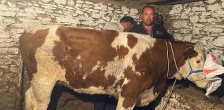 Manisa’dan kaçan firari, 42 gün sonra Denizli’de yakalandı!