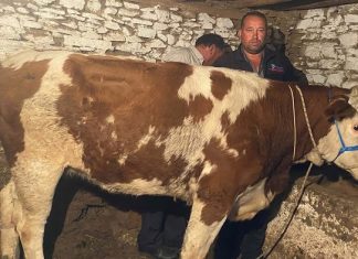 Manisa’dan kaçan firari, 42 gün sonra Denizli’de yakalandı!