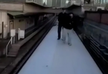 Bir sosyal videosu için canından oldu