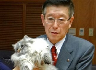 Barış’ın küçümsendiği Dünyada belki de en doğrusu buydu: Putin’in Japonya’ya hediye ettiği ”barış kedisi” öldü
