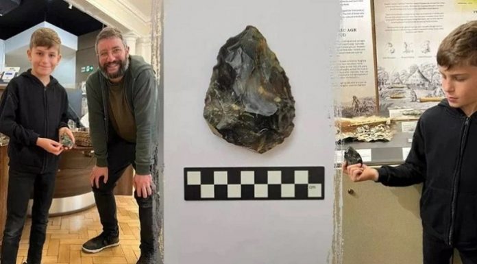 3 yıl boyunca saklamış. 60 bin yıllık balta 9 yaşındaki çocuğun odasından çıktı!