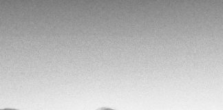 Yalçın KONUK/ Müzisyen / Film Yönetmeni / SÖYLEŞİ