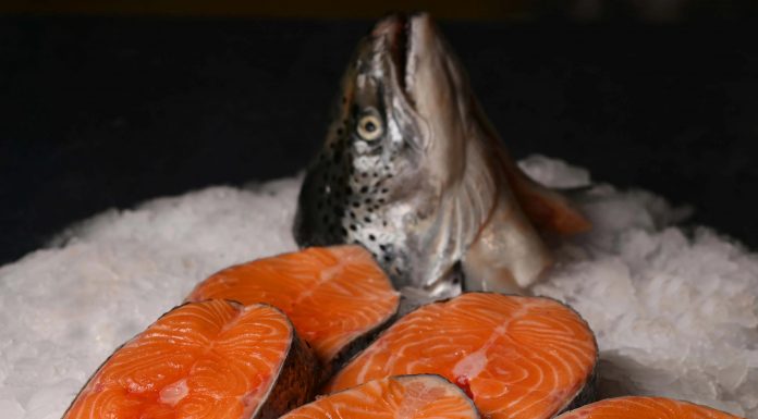Norveç somon balığında ‘Balık Biti”!