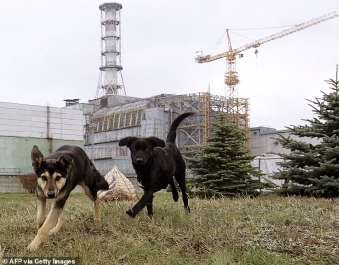 Screenshot_20241210_193703