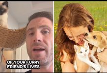 Türkiye’de de satılıyor! Saç uzamasını hızlandıran bir ürünün kalıntısı bile evcil hayvanlarınızı öldürebilir.