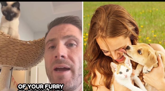 Türkiye’de de satılıyor! Saç uzamasını hızlandıran bir ürünün kalıntısı bile evcil hayvanlarınızı öldürebilir.