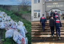 Akıllara durgunluk veren hırsızlık: Tarladan çuvallarla marul çaldılar!