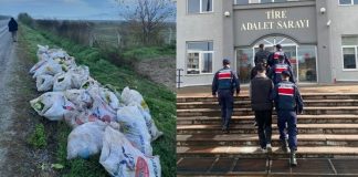 Akıllara durgunluk veren hırsızlık: Tarladan çuvallarla marul çaldılar!