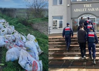 Akıllara durgunluk veren hırsızlık: Tarladan çuvallarla marul çaldılar!