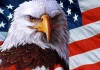 “Kel Kartal”, ABD’nin ulusal kuşu ilan edildi.