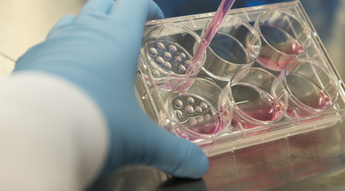 Çalışma: Beyin Hücreleri Uzayda Daha Hızlı Olgunlaşıyor Ve Daha Sağlıklı Kalıyor!