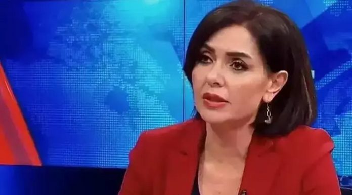 Gazeteci Özlem Gürses gözaltına alındı