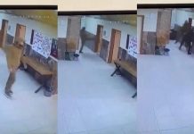 🎥Bir eğitimciye yakışmadı. Tartıştığı öğretmen arkadaşlarını, ağabeyine dövdürdü!