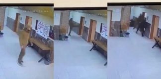 🎥Bir eğitimciye yakışmadı. Tartıştığı öğretmen arkadaşlarını, ağabeyine dövdürdü!