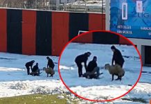 Maç sırasında kale arkasında olanlar, yok artık dedirtti!