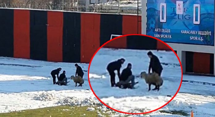 Maç sırasında kale arkasında olanlar, yok artık dedirtti!