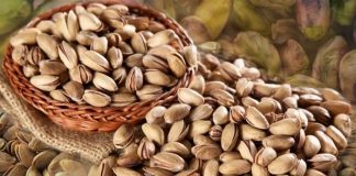 Kanserojen madde içerdiği gerekçesiyle’ Antep Fıstığı’nı Yunanistan sınırdan geri gönderdi