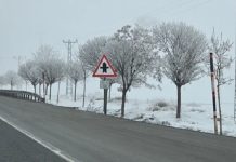 Bitlis’te ağaçlar buz kristalleriyle kaplandı