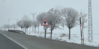 Bitlis’te ağaçlar buz kristalleriyle kaplandı