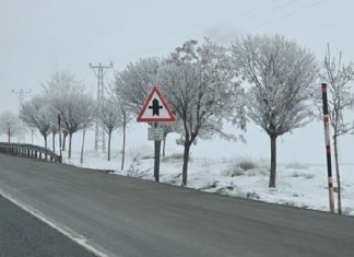 Bitlis’te ağaçlar buz kristalleriyle kaplandı