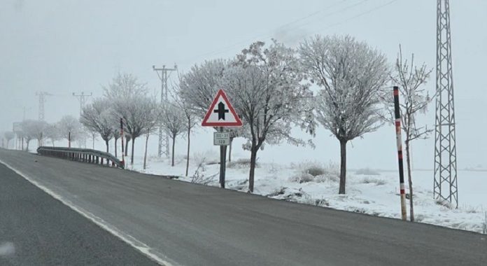 Bitlis’te ağaçlar buz kristalleriyle kaplandı