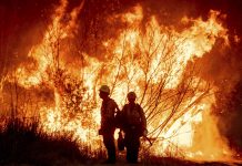 Los Angeles’ta alevler ünlülerin evlerini de yok ediyor.