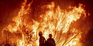 Los Angeles’ta alevler ünlülerin evlerini de yok ediyor.