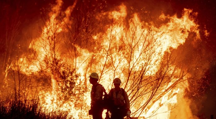 Los Angeles’ta alevler ünlülerin evlerini de yok ediyor.