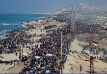 Yüzbinlerce Filistin’li Kuzey Gazze yolunda. Büyük geri dönüşte yerinden edilmiş patili bir mağdur da var.