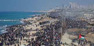 Yüzbinlerce Filistin’li Kuzey Gazze yolunda. Büyük geri dönüşte yerinden edilmiş patili bir mağdur da var.