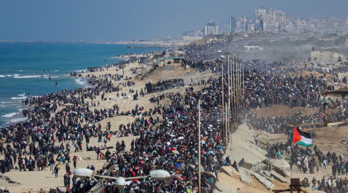 Yüzbinlerce Filistin’li Kuzey Gazze yolunda. Büyük geri dönüşte yerinden edilmiş patili bir mağdur da var.