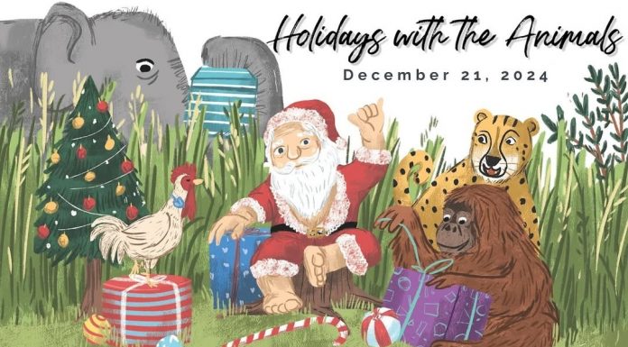 Berlin Hayvanat Bahçesi’nde satılmayan ağaçlar hayvanlara yem olarak verildi; filler memnun, zürafalar utangaç!